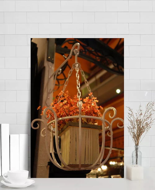 歐美風格盆景掛籃攝影圖片 背景裝飾,高清攝影圖,歐美風格,盆景藝術,攝影圖片,生活百科,生活用品,室內飾品,室內裝飾,圖片素材,裝飾品 薛zhi圈