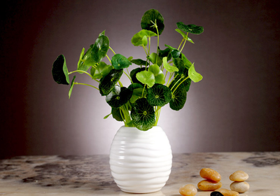 微飾界旗艦店中的裝飾花瓶官網價格貴嗎 - 秀給網裝修隊